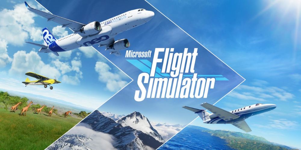 Flight Simulator